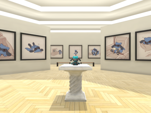 Riolu Museum