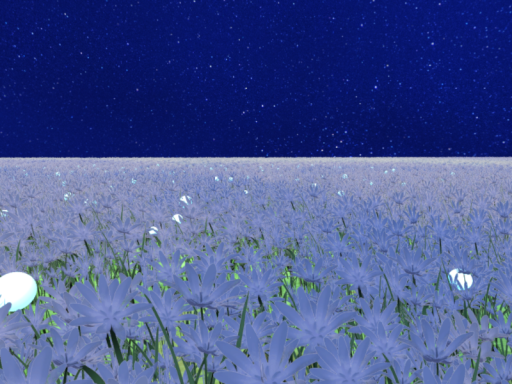 お花畑