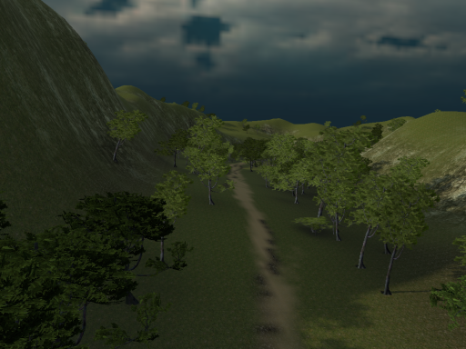 RP Forest trail 1