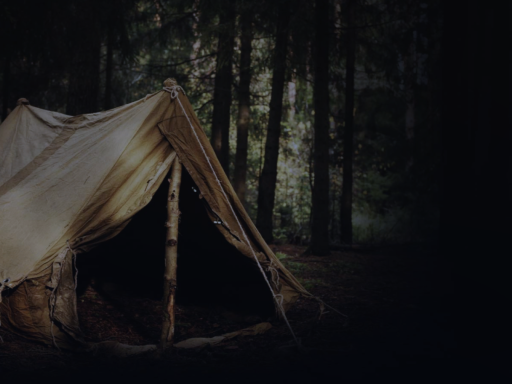 forest camp