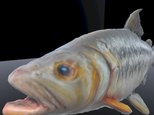 Fish