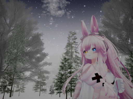 星空と雪