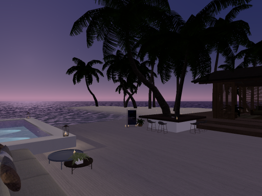 CoconutFoxSeabeach