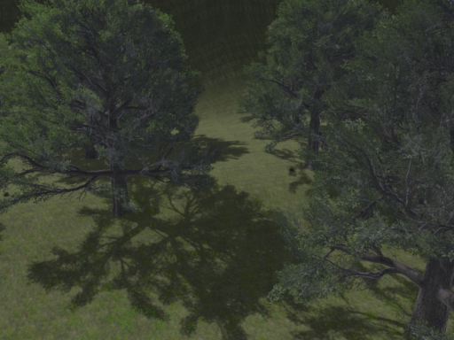 blackrose forest