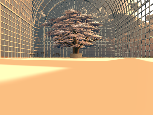 정원