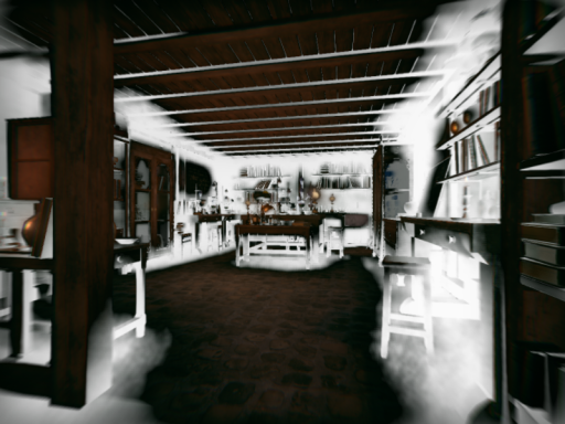 Rizas Shady House