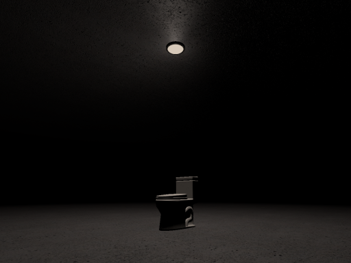 The Toilet
