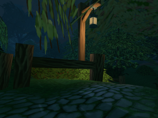 Night Forest