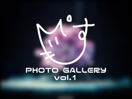 すぴ's Photo Gallery vol․1