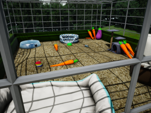 Bunny Cage