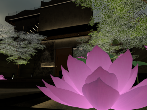 The Lotus Nest
