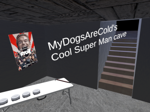 MyDogsAreCold's Cool Super Man Cave