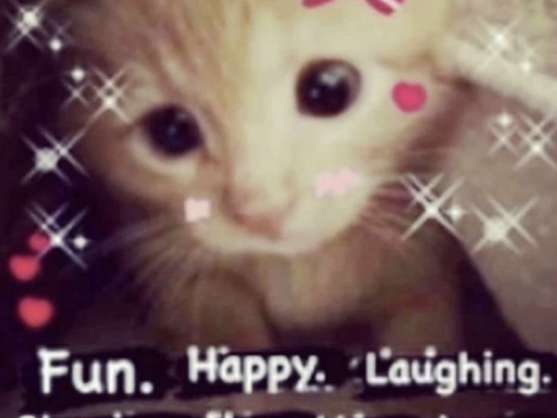 Cupie Room