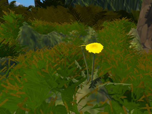 dandelion