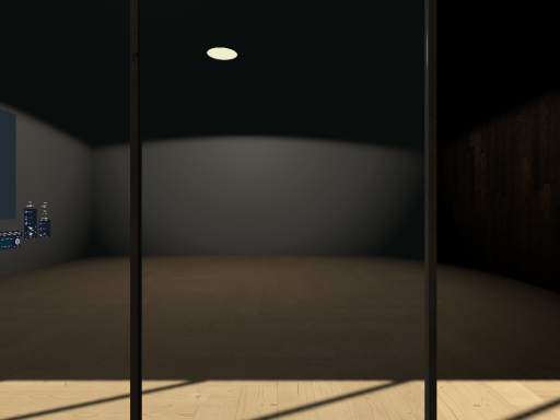 Cage