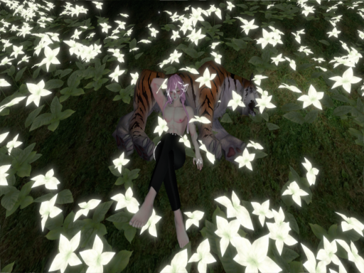 Doko ni imasu ka？