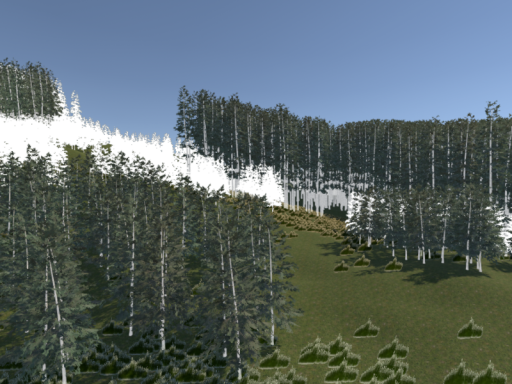 Forest