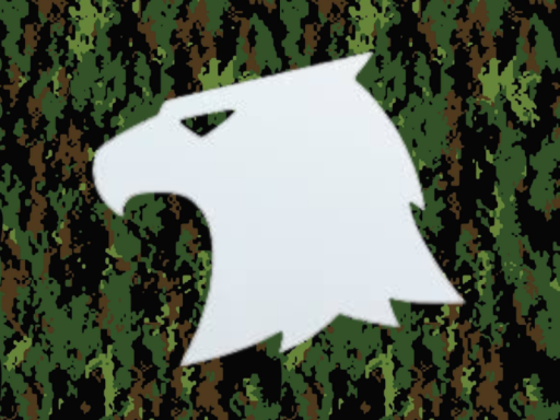 Raptor home