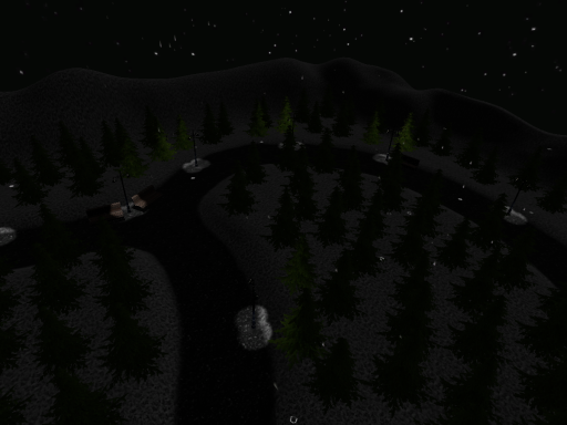 Night pine park