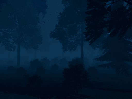 Deep Forest of Waldshagen Night time