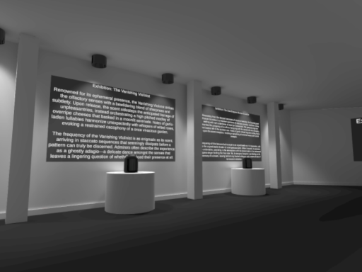 Museum Of Farts