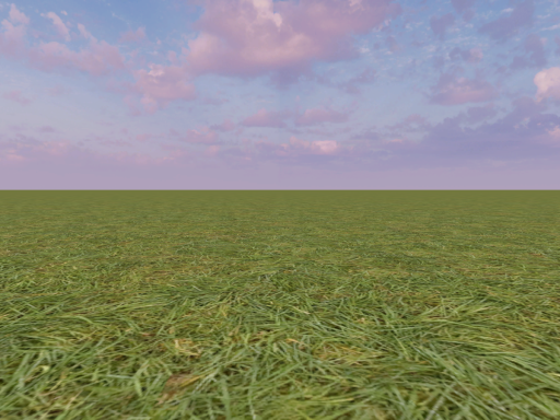 A World