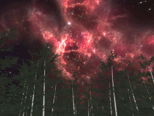 Chill Forest