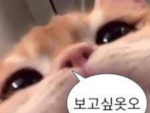 주사위 술 게임