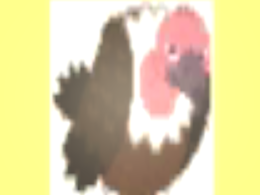 hagetaka