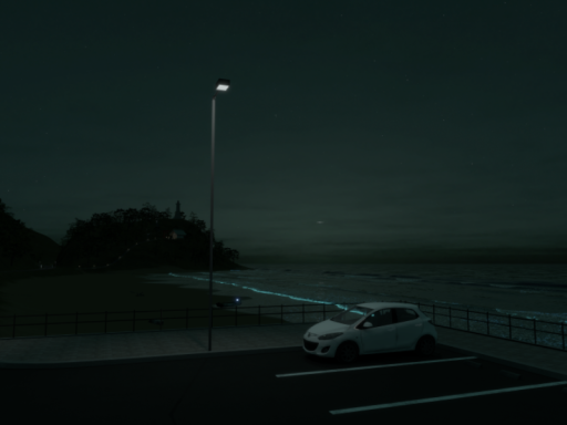 Noctiluca