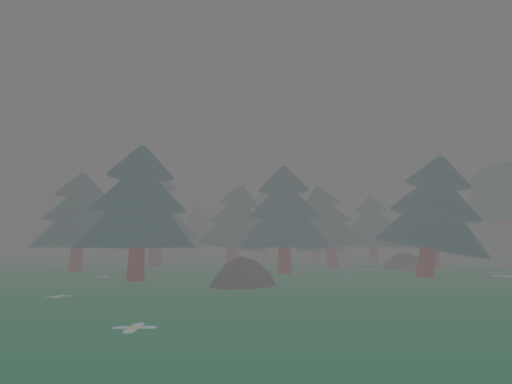 Forest's FPE Swap Avatar World