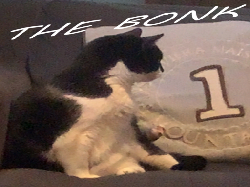 Bonk's Paradise