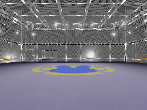 fighting arena
