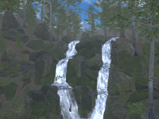 A Quiet Forest