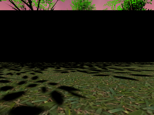 ɴᴀᴅᴀ's home world