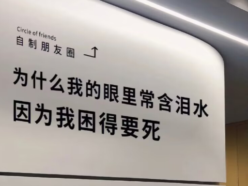 鲶鱼吧