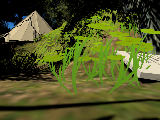 Tea＆Camp