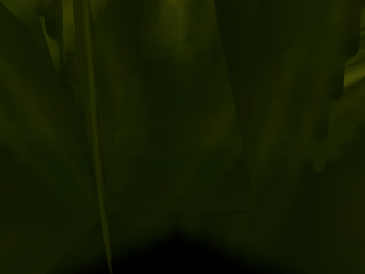 Shiro´s camp