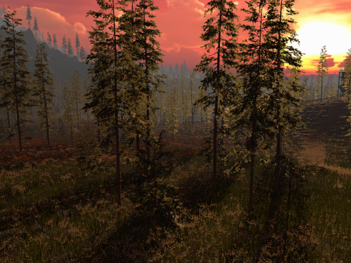 Sunset Mountain