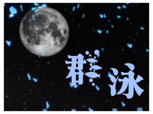 群泳