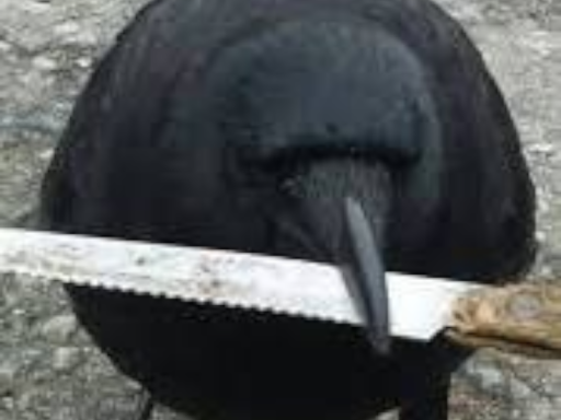 Crow Bar