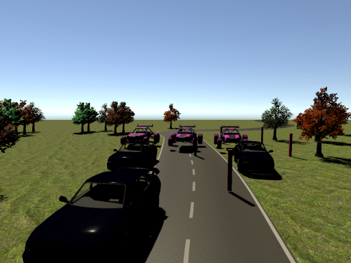 Race