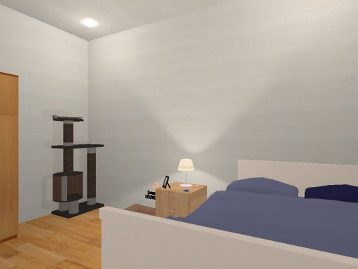 Catto's Room