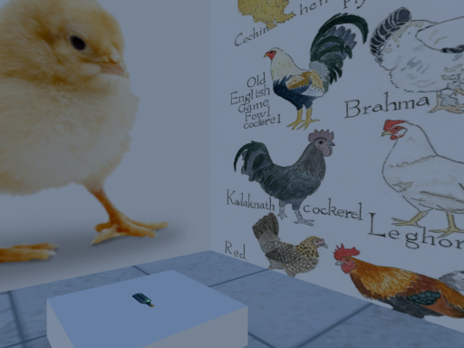 Chicken Room
