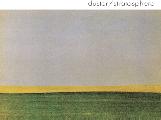 Duster