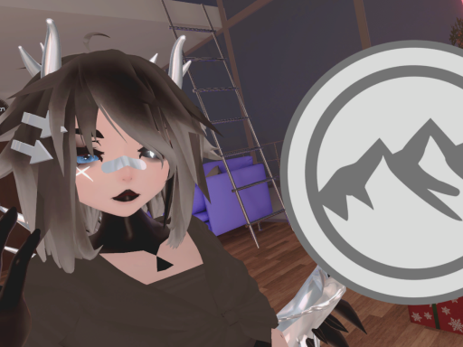 Broken project