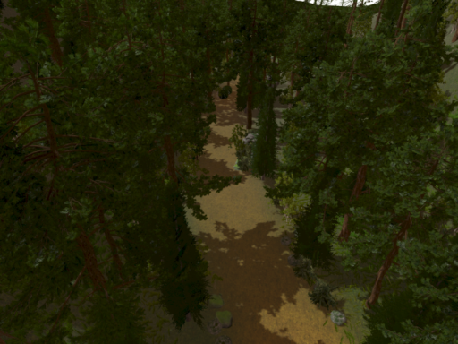 Long Trail