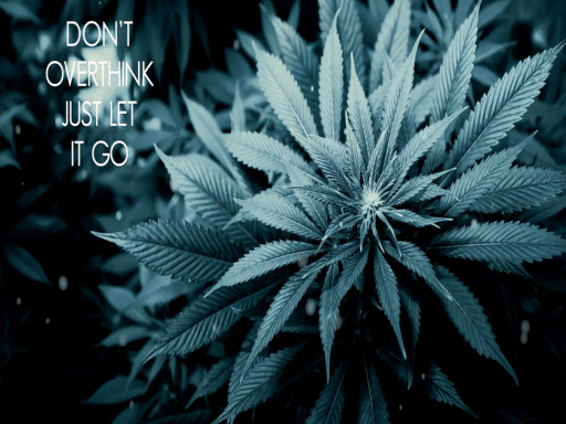 A Stoners Flow