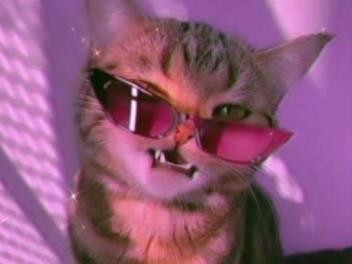 gato test world