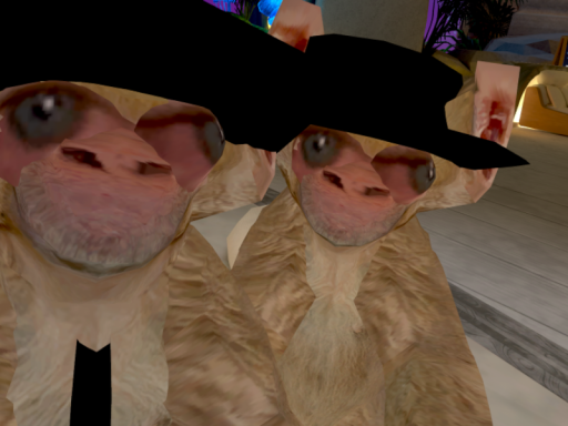 DRUG BROTHERS HOME V2